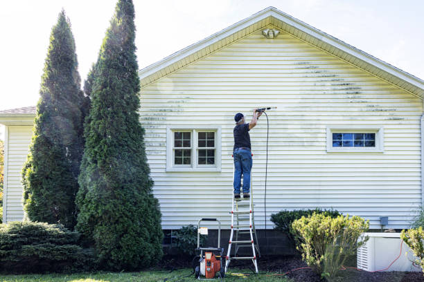 Best Gutter Cleaning  in Newburgh, IN